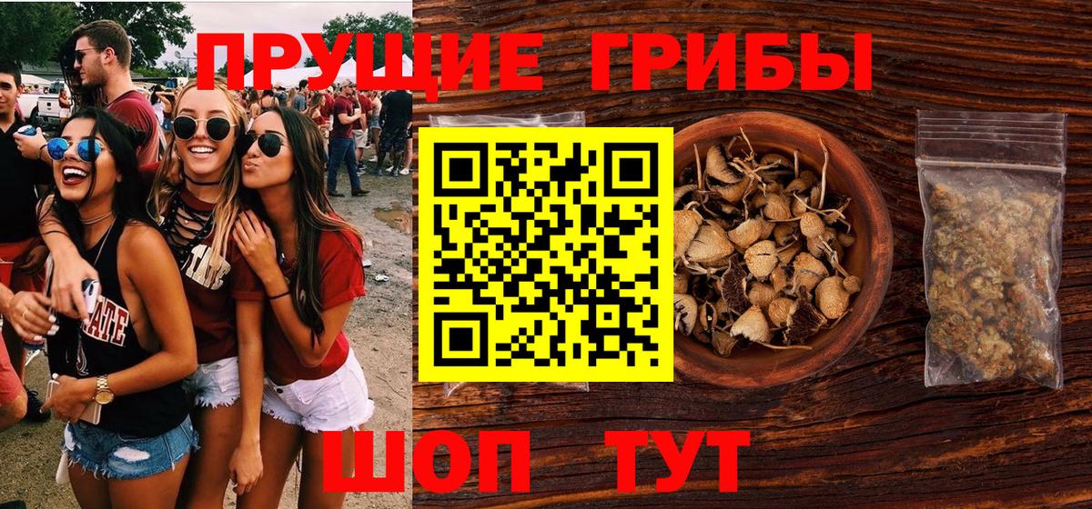 Канаш  Псилоцибиновые грибы мухоморы  Псилоцибиновые грибы Cubensis  Вход с VPN 