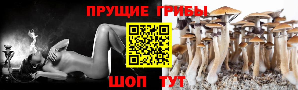 A PVP Канаш